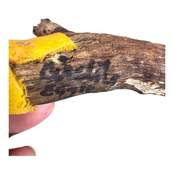 Vintage Native American Signed Handcrafted Driftwood & Turtle Shell Rattle - Picture 4 of 8